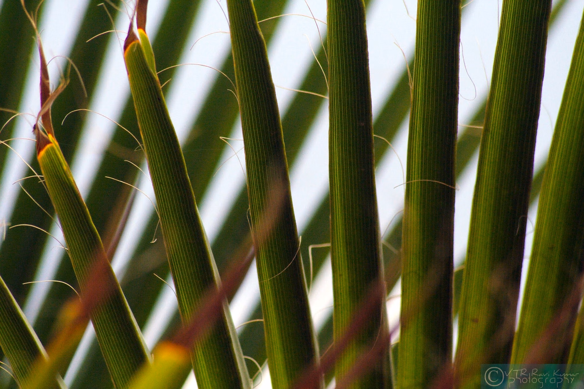 Abstract photograph