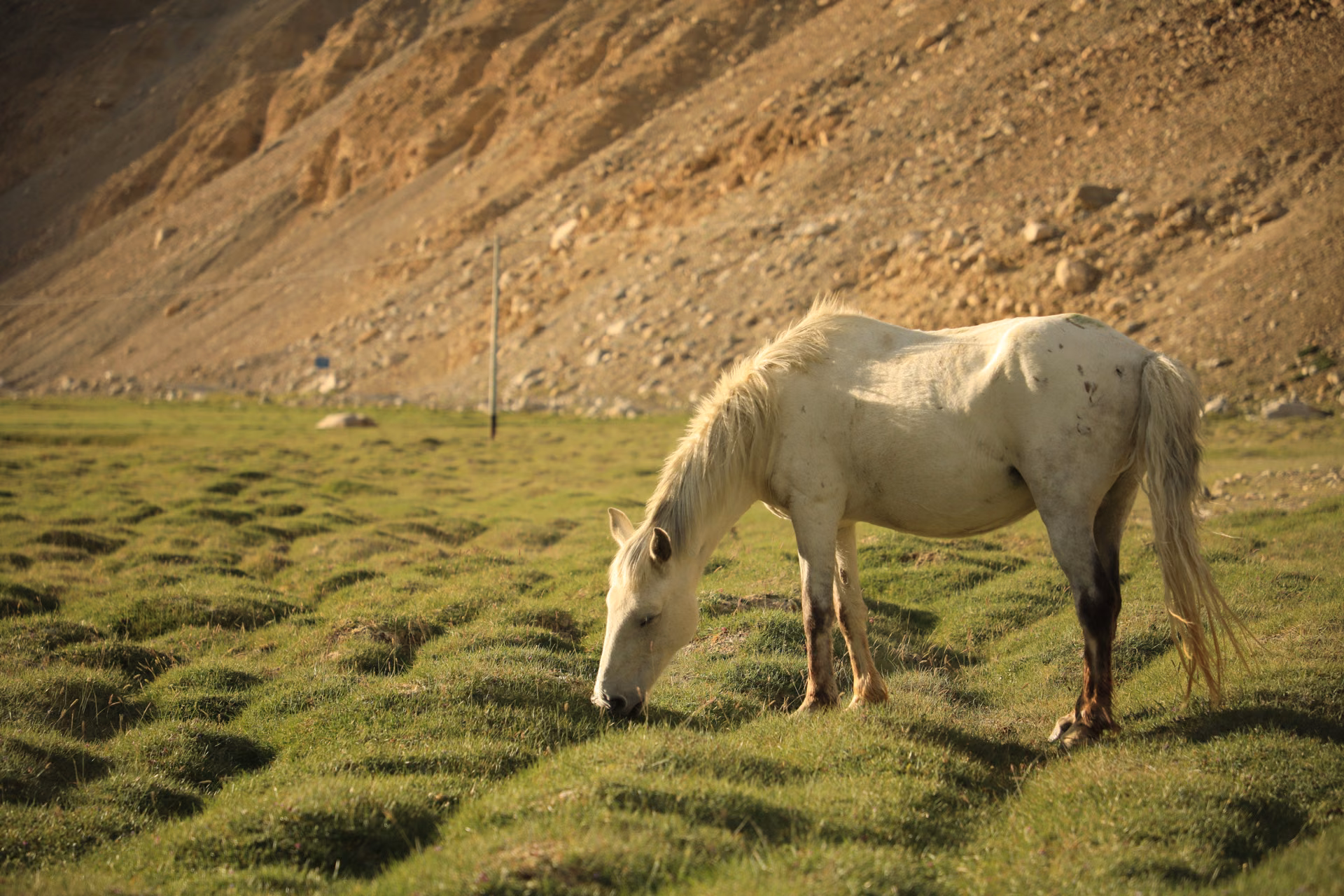leh · india