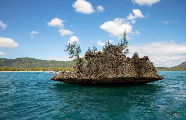 port luis · mauritius (8 of 14)