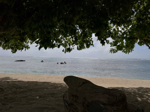 mahe · seychelles (2 of 32)