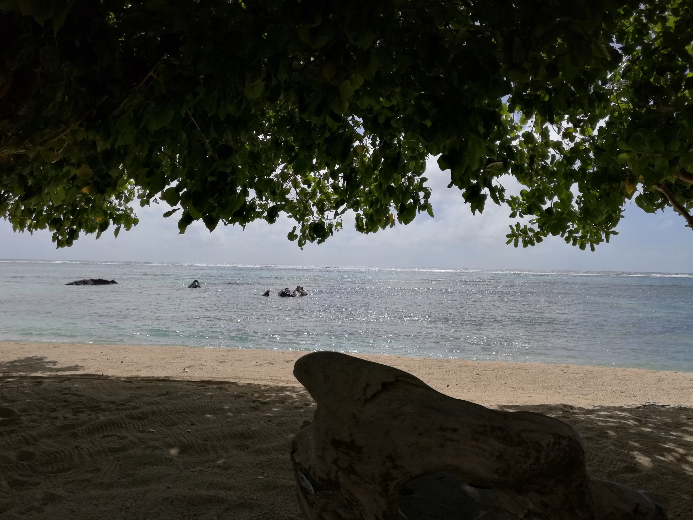 mahe · seychelles