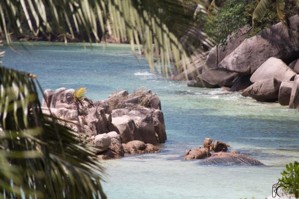 mahe · seychelles (13 of 32)