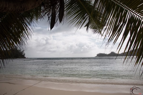 mahe · seychelles (15 of 32)