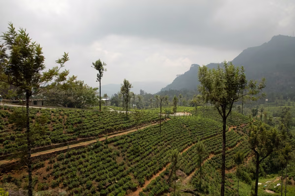 columbo · srilanka (8 of 26)