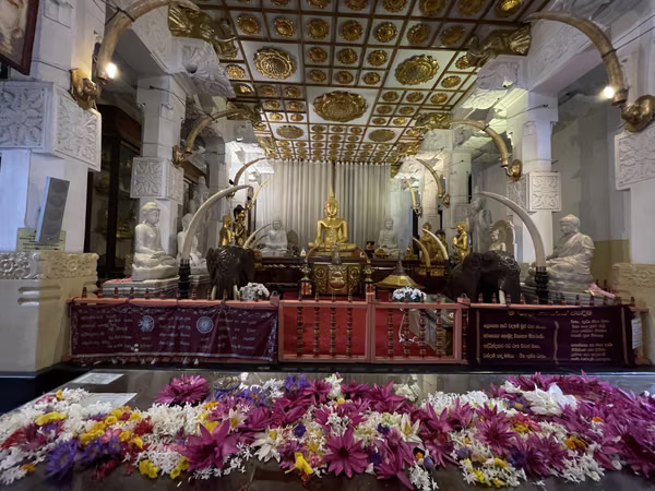 columbo · srilanka (18 of 26)