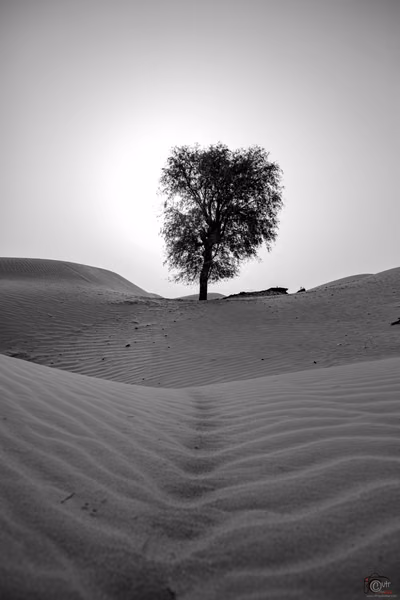 abudhabi · uae (2 of 5)