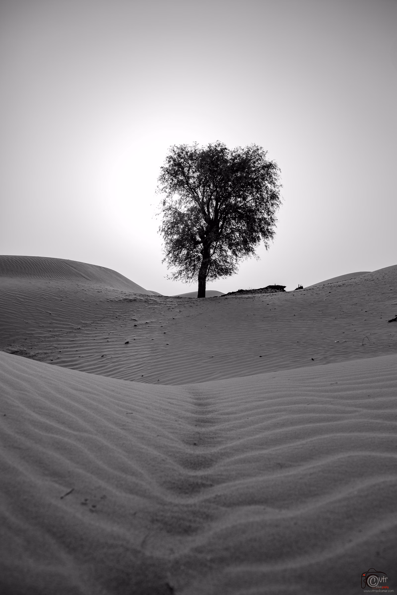 abudhabi · uae