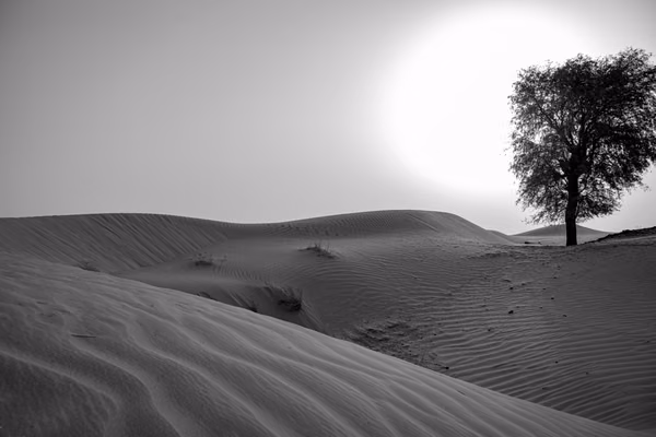 abudhabi · uae (3 of 5)