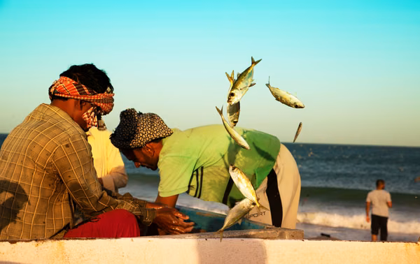 fujairah · uae (7 of 7)