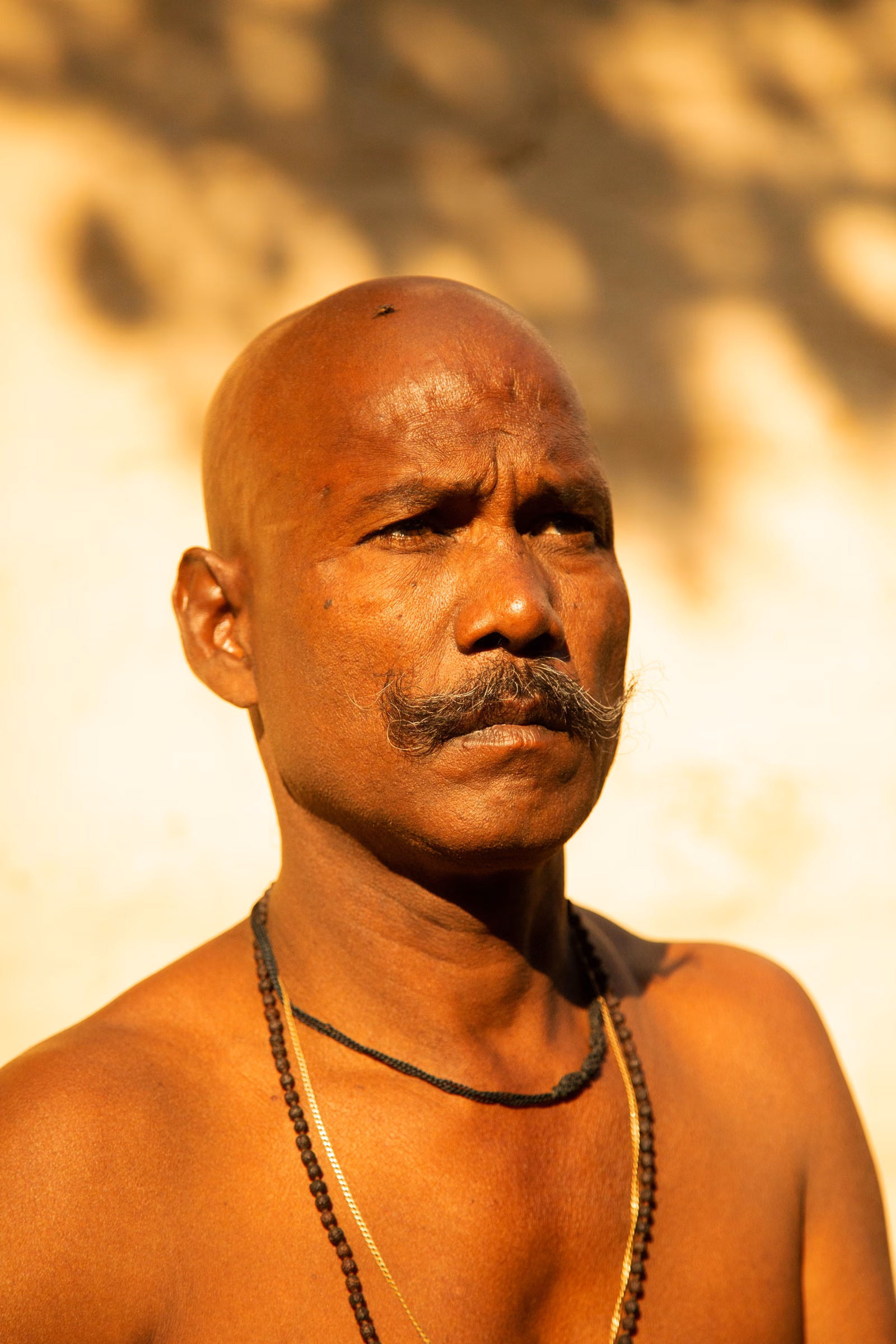 Portrait photograph